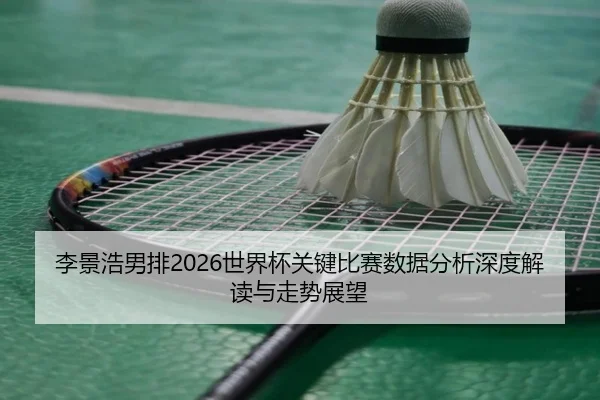 李景浩男排2026世界杯关键比赛数据分析深度解读与走势展望