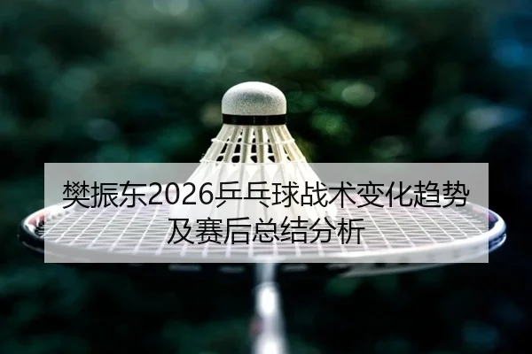 fan-zhen-dong-ping-pang-qiu-zhan-shu-bian-hua-qu-shi-ji-sai-hou-zong-jie-fen-xi-2-583.jpg
