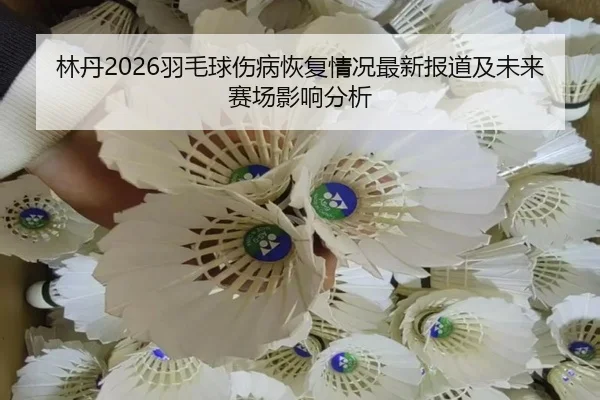 lin-dan-yu-mao-qiu-shang-bing-hui-fu-qing-kuang-zui-xin-bao-dao-ji-wei-lai-sai-chang-ying-xiang-fen-xi-2-170.jpg