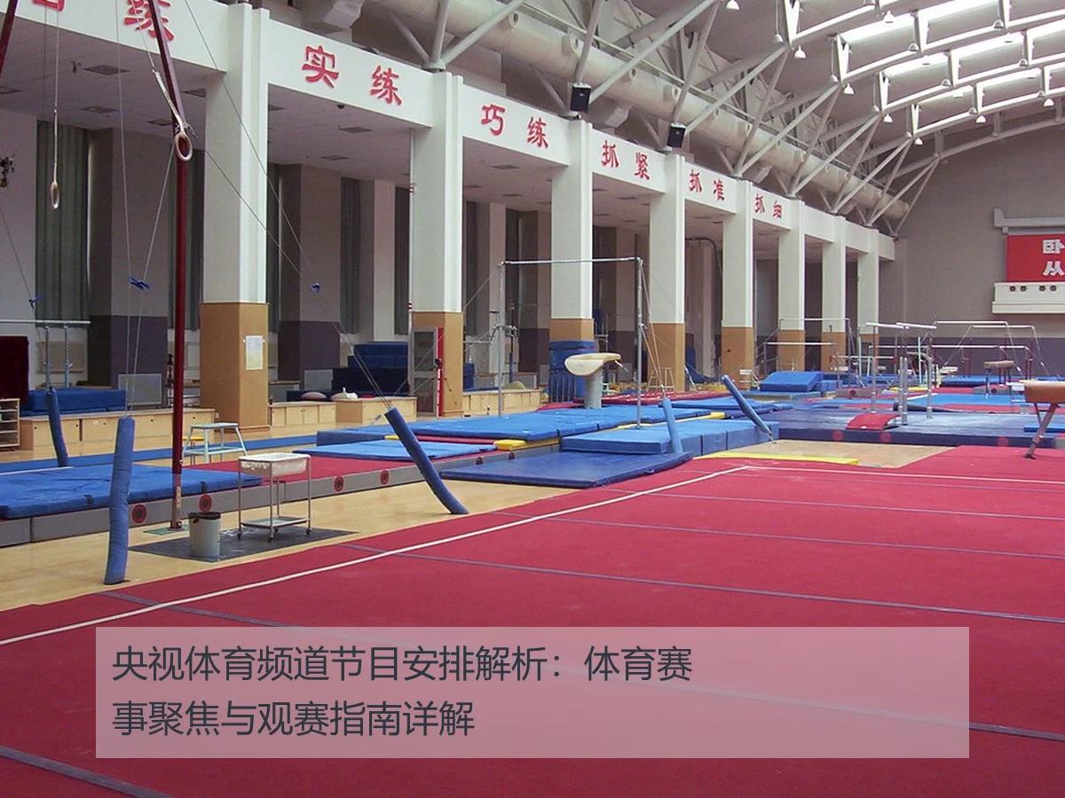 央视体育频道节目安排解析：体育赛事聚焦与观赛指南详解