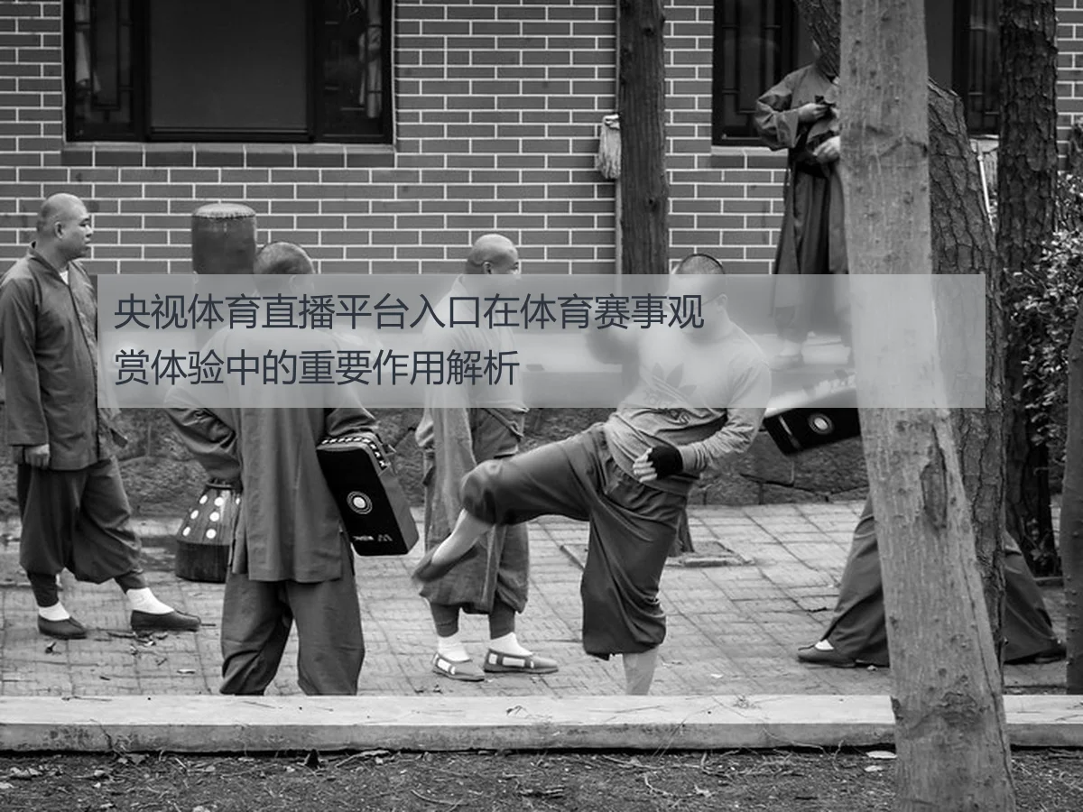 央视体育直播平台入口在体育赛事观赏体验中的重要作用解析